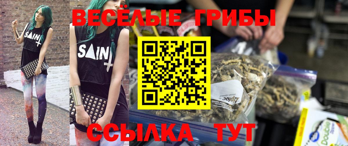 Псилоцибиновые грибы Cubensis  наркошоп  Гатчина  Вход с VPN 