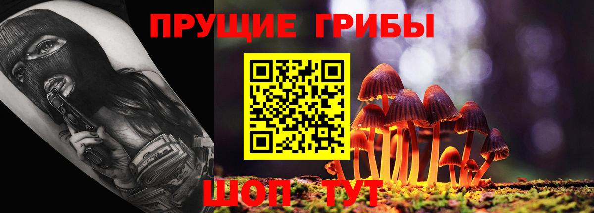 ГАШИШ Гатчина