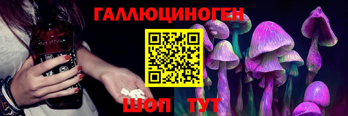 Псилоцибиновые грибы Cubensis Гатчина
